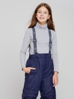 Брюки зимние <span class="product-sku">WP73782BLUE</span> — изображение 2