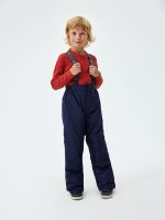 Брюки зимние <span class="product-sku">WP73782BLUE</span> — изображение 3