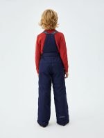 Брюки зимние <span class="product-sku">WP73782BLUE</span> — изображение 4